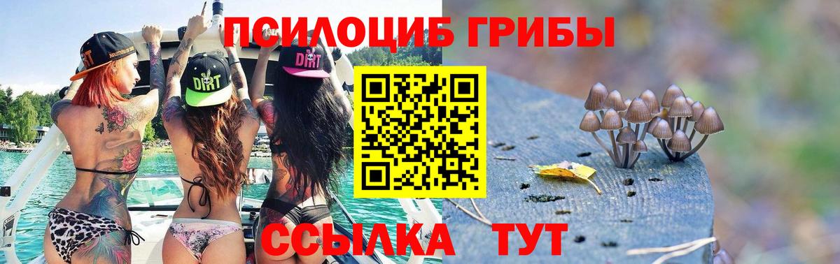 Заводоуковск  Псилоцибиновые грибы Psilocybe  продажа наркотиков  Вход с VPN 